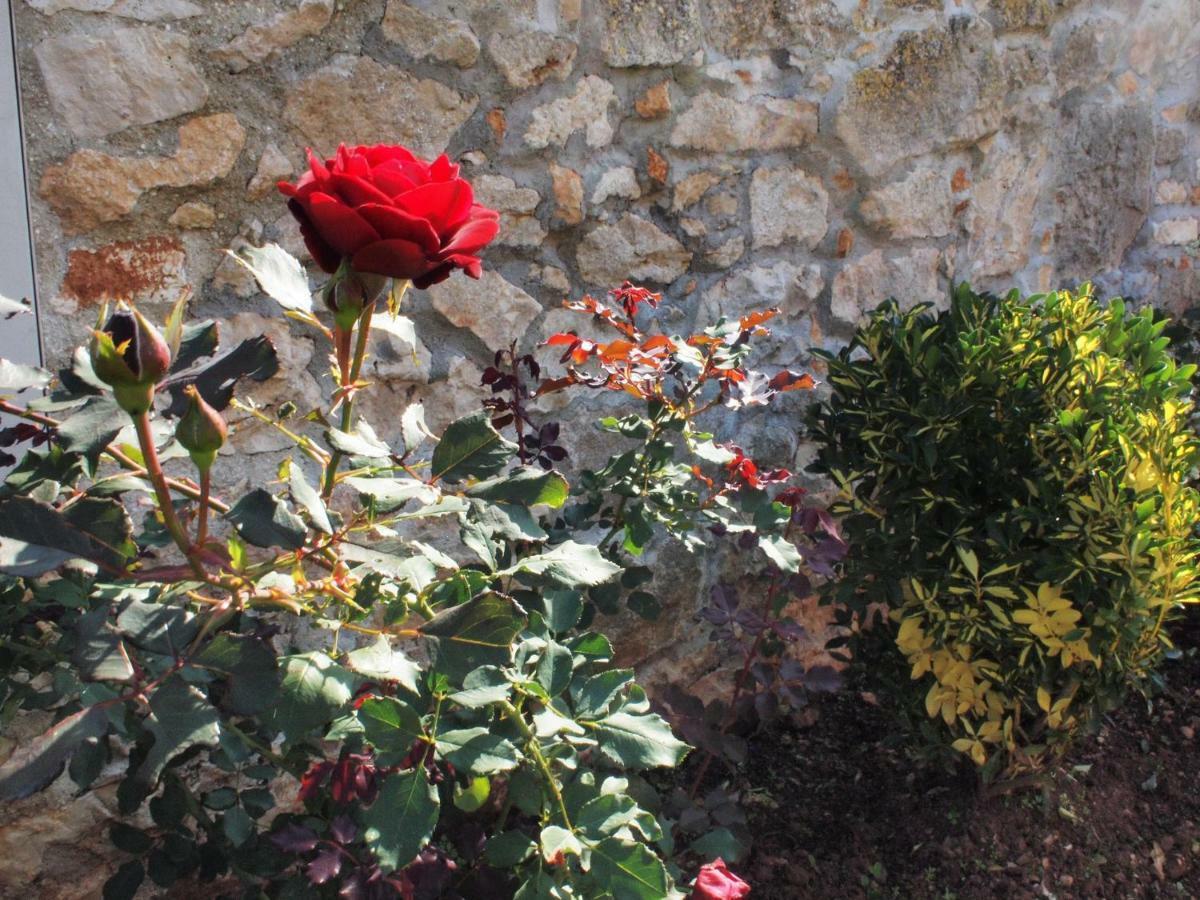 House Anna Apartment Porec Bagian luar foto