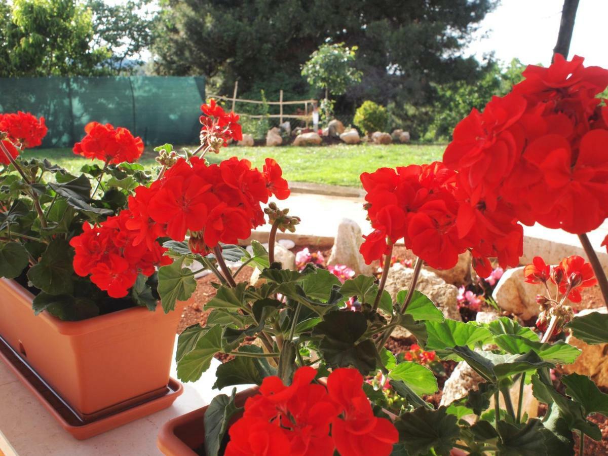 House Anna Apartment Porec Bagian luar foto